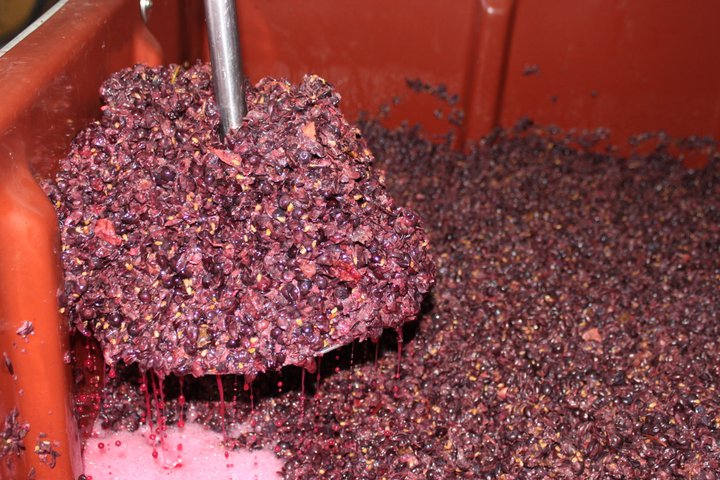 https://www.vinocorpperu.com/images/bodegas/puntroad/TODO SE CENTRA-min.jpg